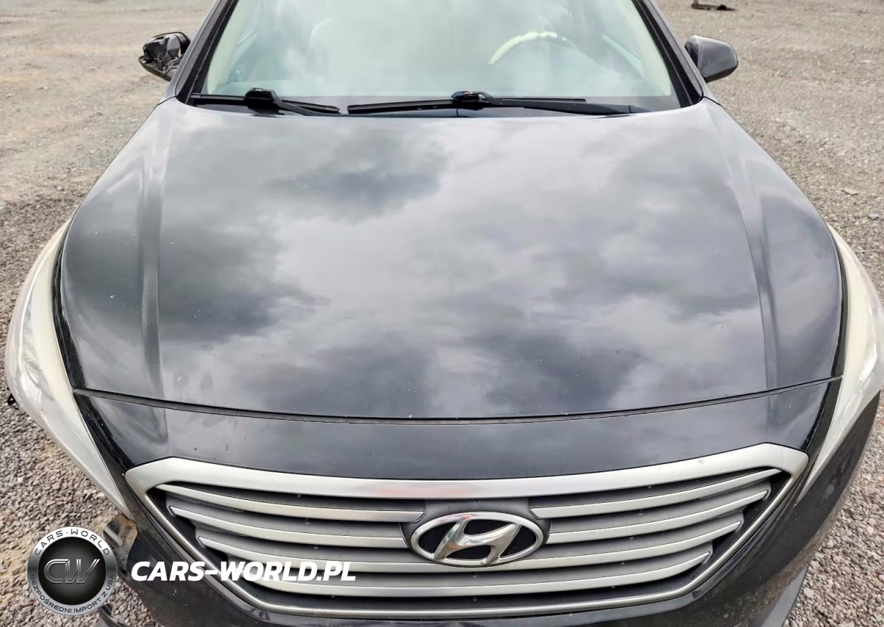 2015 Hyundai Sonata Se VIN:5NPE24AF7FH142691 - 11