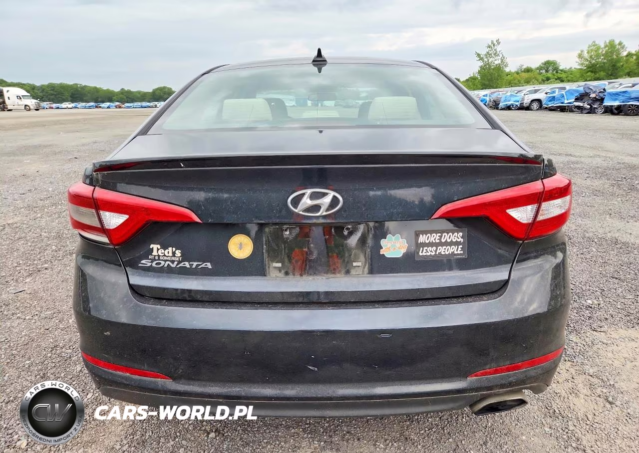 2015 Hyundai Sonata Se VIN:5NPE24AF7FH142691 - 6