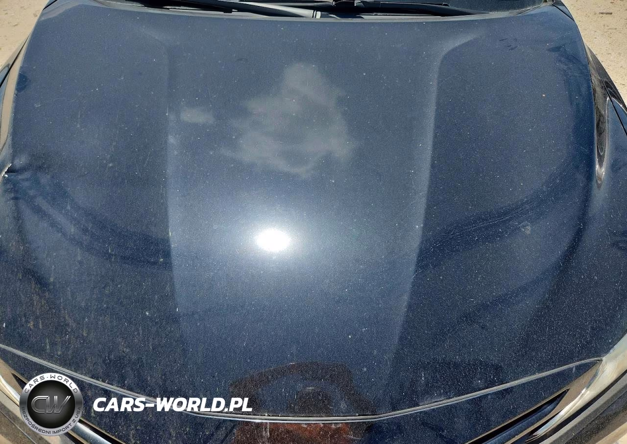 2019 Toyota Camry Se VIN:4T1B11HKXKU160234 - 11