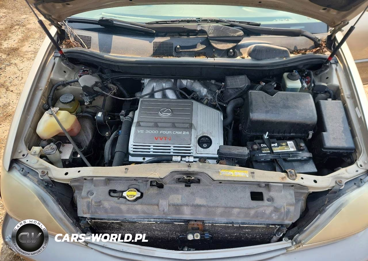 2000 Lexus Rx 300 VIN:JT6HF10U7Y0109813 - 11