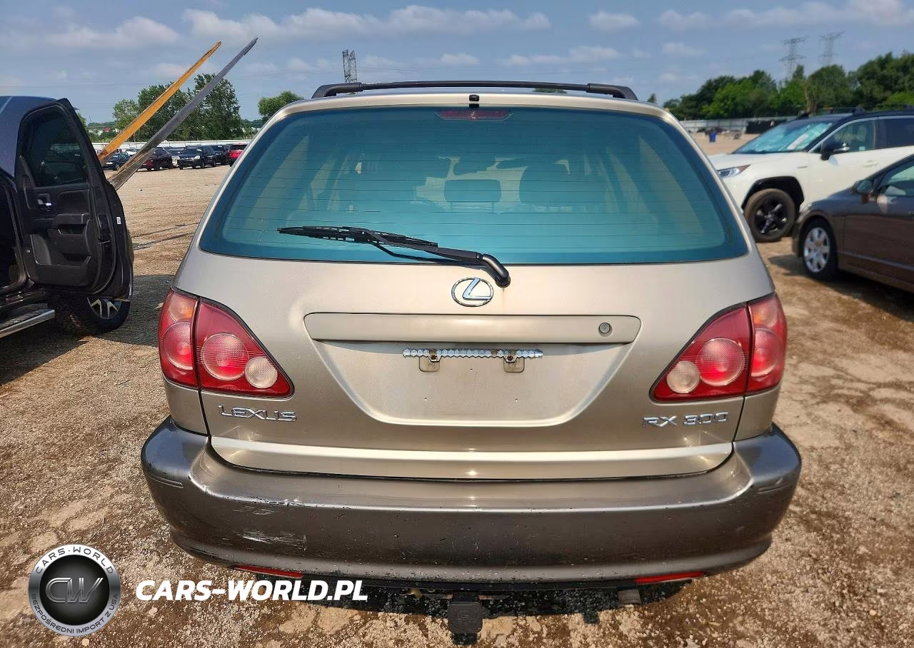 2000 Lexus Rx 300 VIN:JT6HF10U7Y0109813 - 6