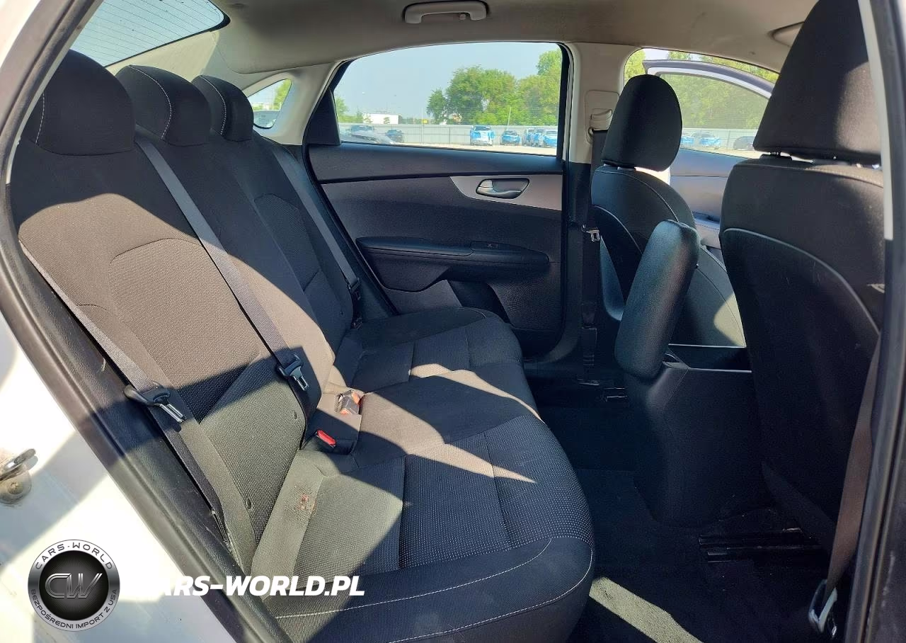 2019 Kia Forte Fe VIN:3KPF24AD8KE138263 - 10