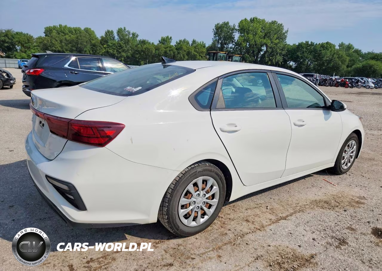 2019 Kia Forte Fe VIN:3KPF24AD8KE138263 - 3