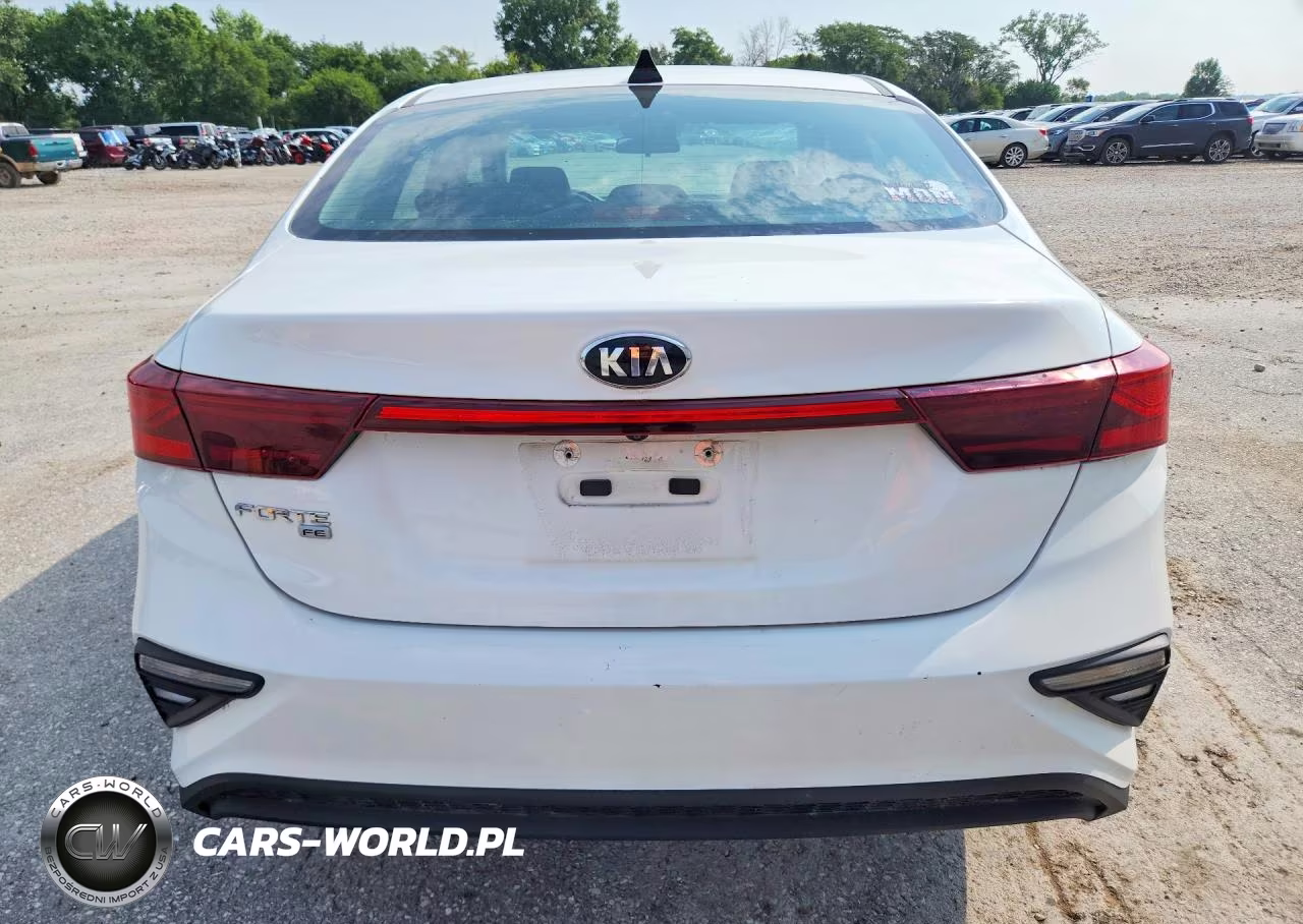 2019 Kia Forte Fe VIN:3KPF24AD8KE138263 - 6