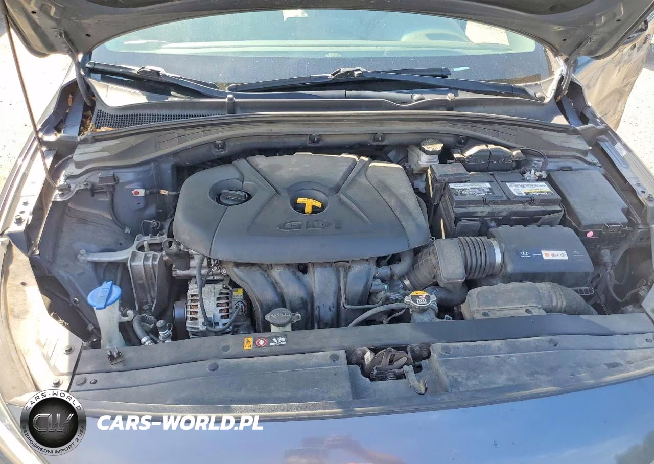 2019 Hyundai Elantra Gt Base VIN:KMHH35LE5KU102447 - 12