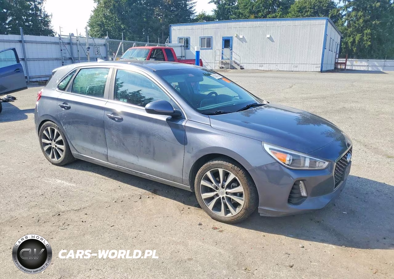 2019 Hyundai Elantra Gt Base VIN:KMHH35LE5KU102447 - 4