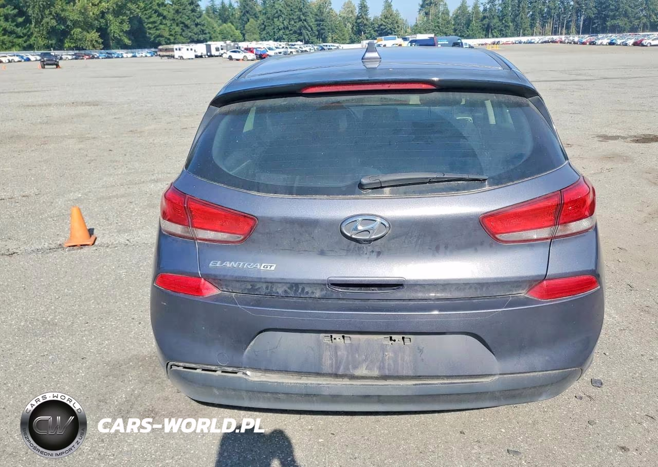 2019 Hyundai Elantra Gt Base VIN:KMHH35LE5KU102447 - 6