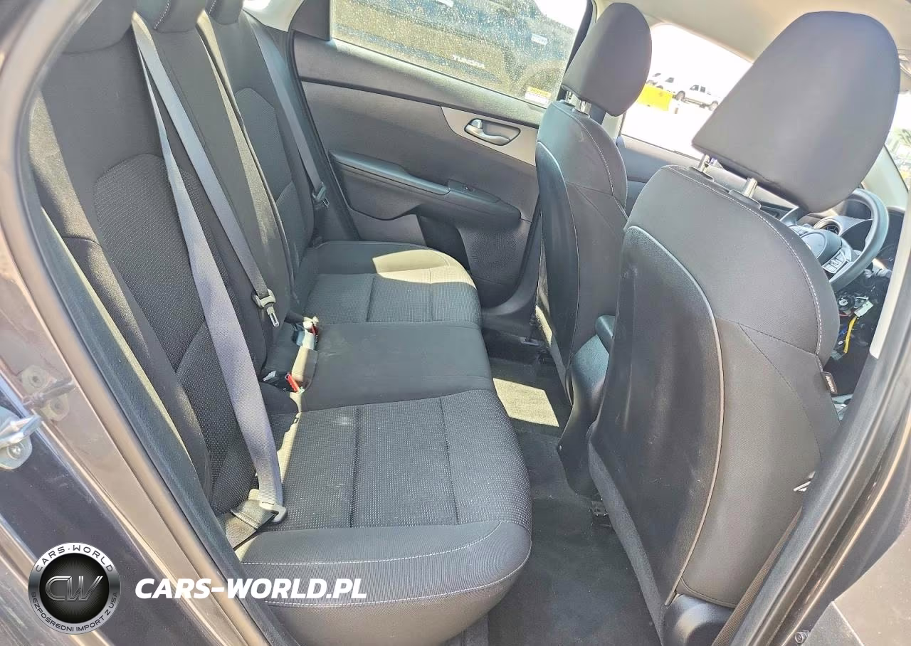 2019 Kia Forte Lxs VIN:3KPF24AD7KE095485 - 10