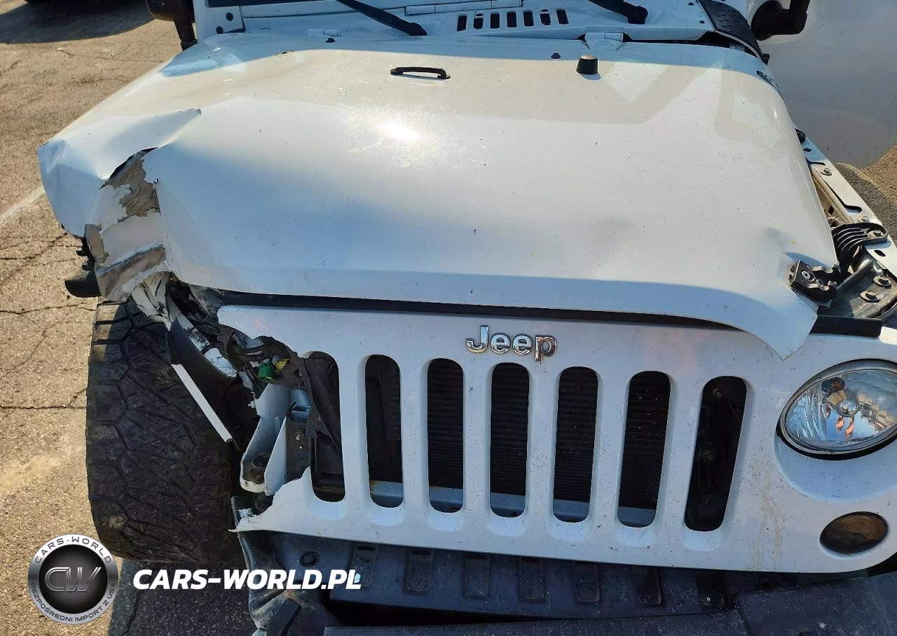 2017 Jeep Wrangler Unlimited Sport VIN:1C4BJWDG4HL561196 - 12