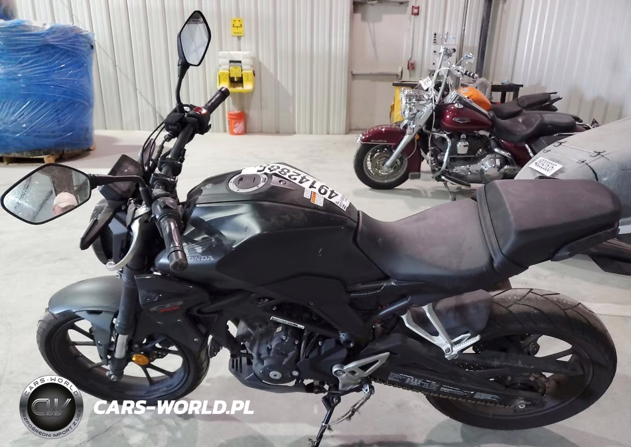2023 Honda Cbf300 Na VIN:MLHNC5559P5300211 - 5