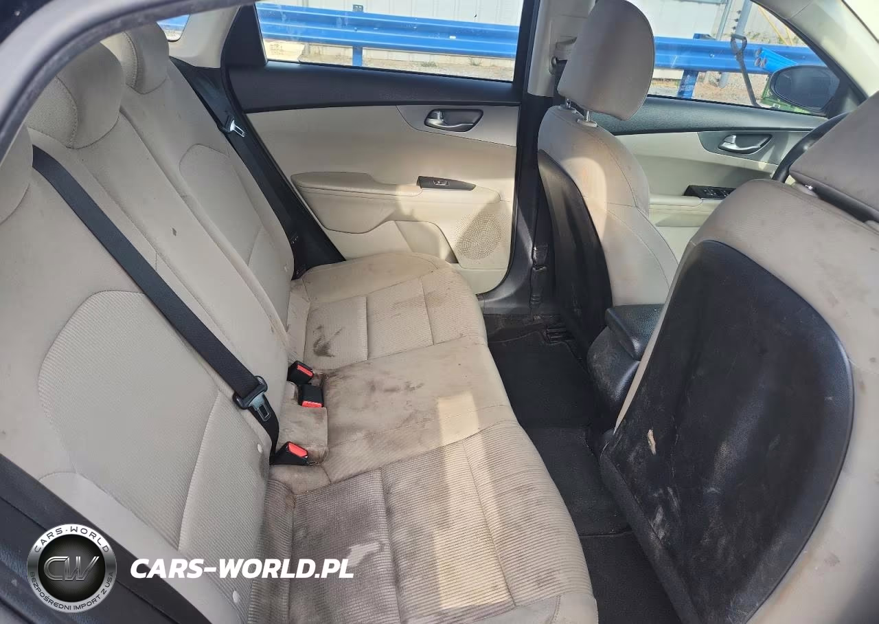 2019 Kia Forte VIN:3KPF24AD3KE064668 - 10