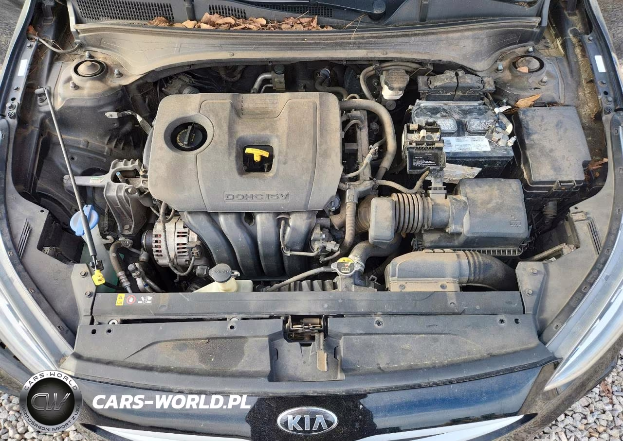 2019 Kia Forte VIN:3KPF24AD3KE064668 - 11