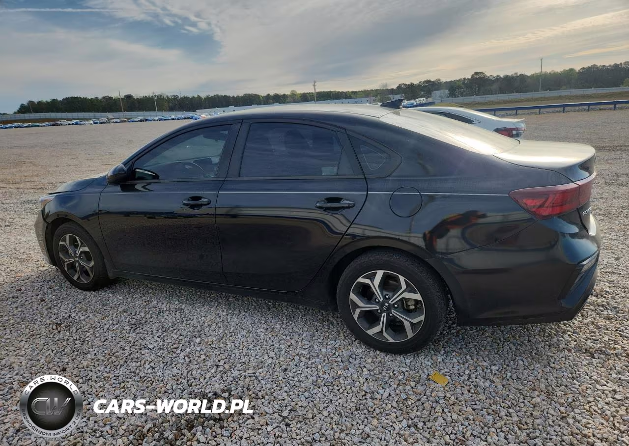 2019 Kia Forte VIN:3KPF24AD3KE064668 - 2