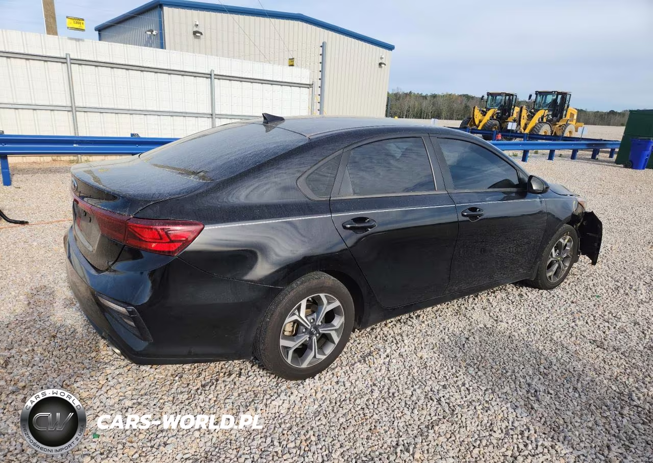 2019 Kia Forte VIN:3KPF24AD3KE064668 - 3