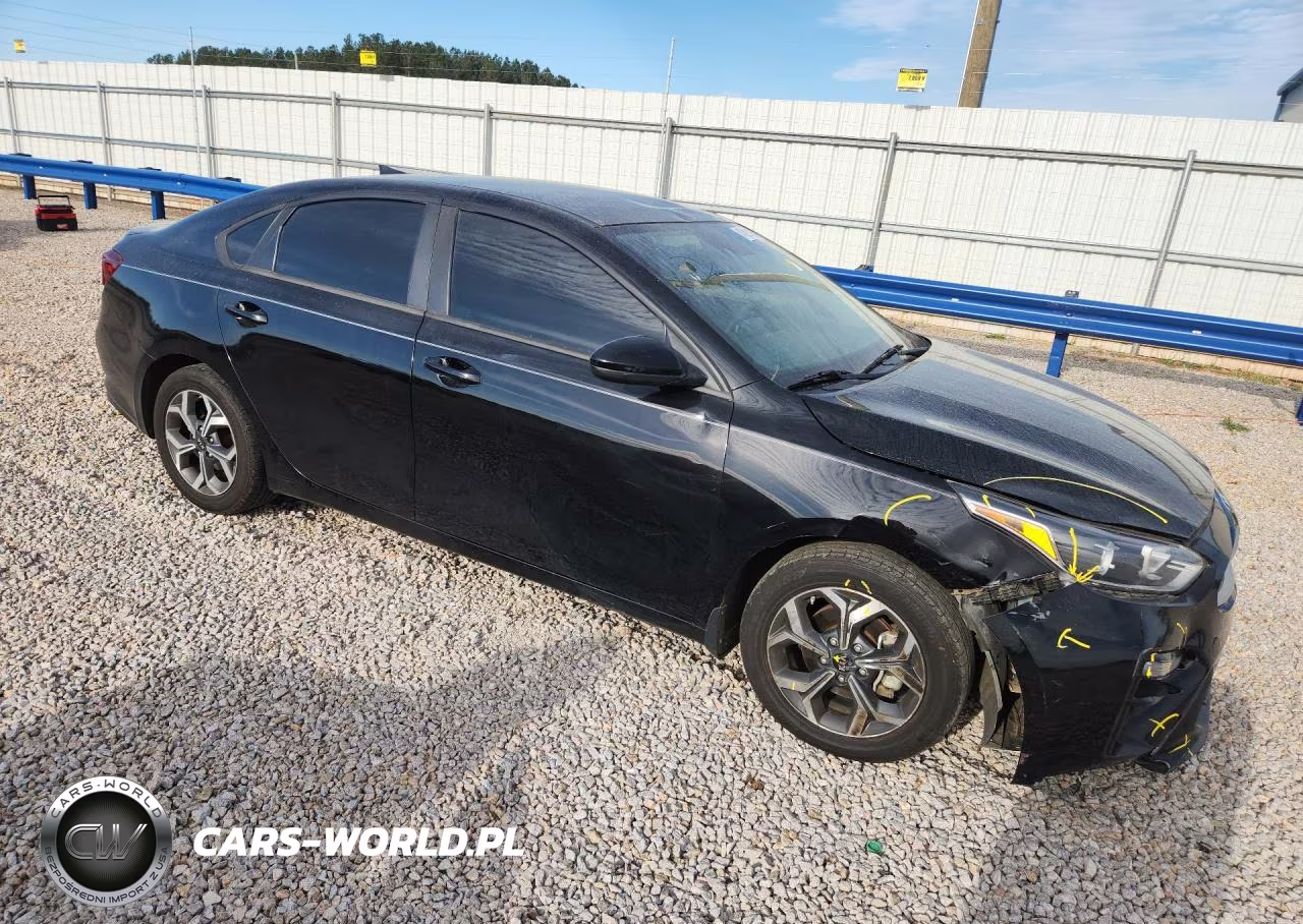 2019 Kia Forte VIN:3KPF24AD3KE064668 - 4