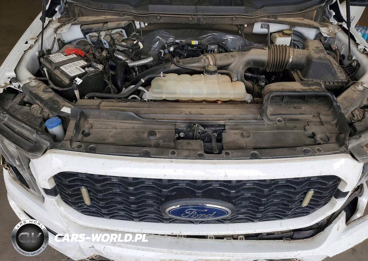 2023 Ford F150 Super Cab VIN:1FTEX1EPXPKF53203 - 11