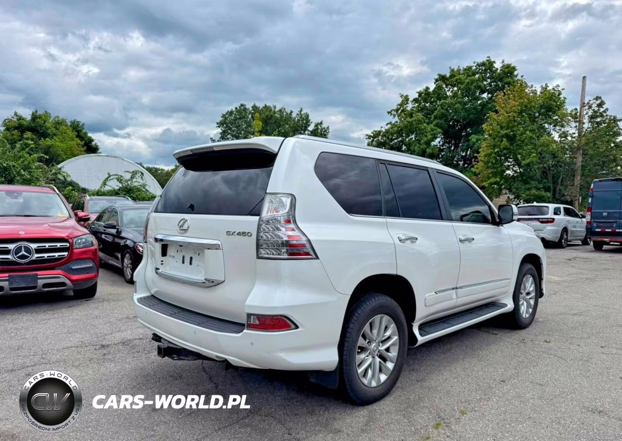 2019 Lexus Gx 460 VIN:JTJBM7FXXK5215365 - 4