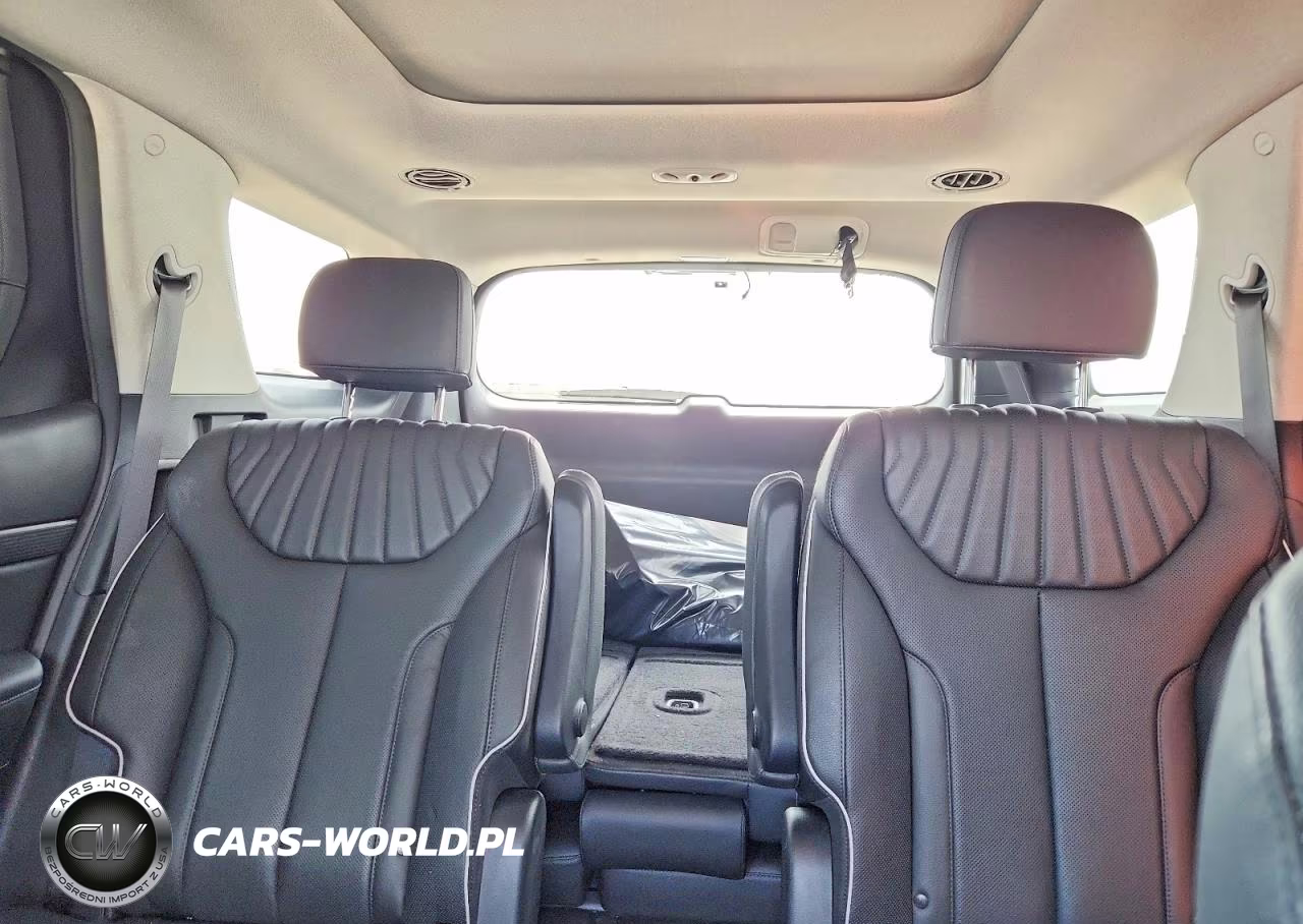 2024 Hyundai Palisade Limited VIN:KM8R5DGE3RU652100 - 10