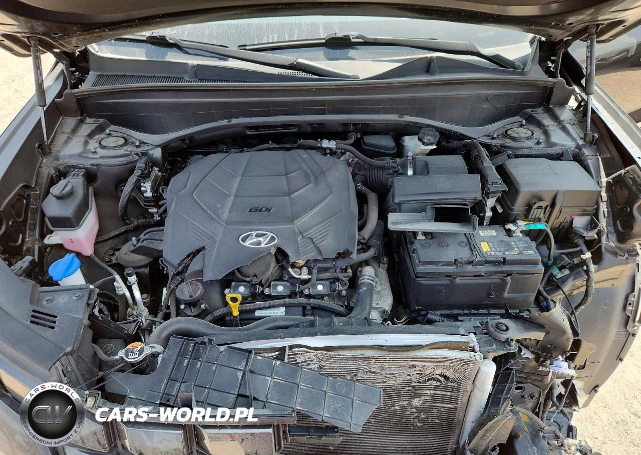 2024 Hyundai Palisade Limited VIN:KM8R5DGE3RU652100 - 12