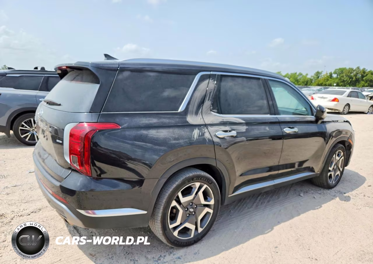 2024 Hyundai Palisade Limited VIN:KM8R5DGE3RU652100 - 3