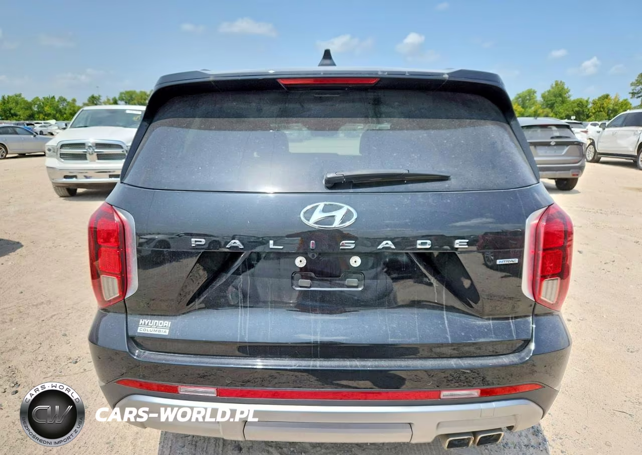 2024 Hyundai Palisade Limited VIN:KM8R5DGE3RU652100 - 6