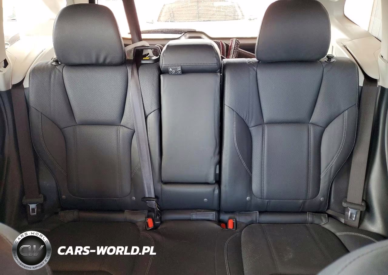 2019 Subaru Forester Limited VIN:JF2SKASC3KH475776 - 10