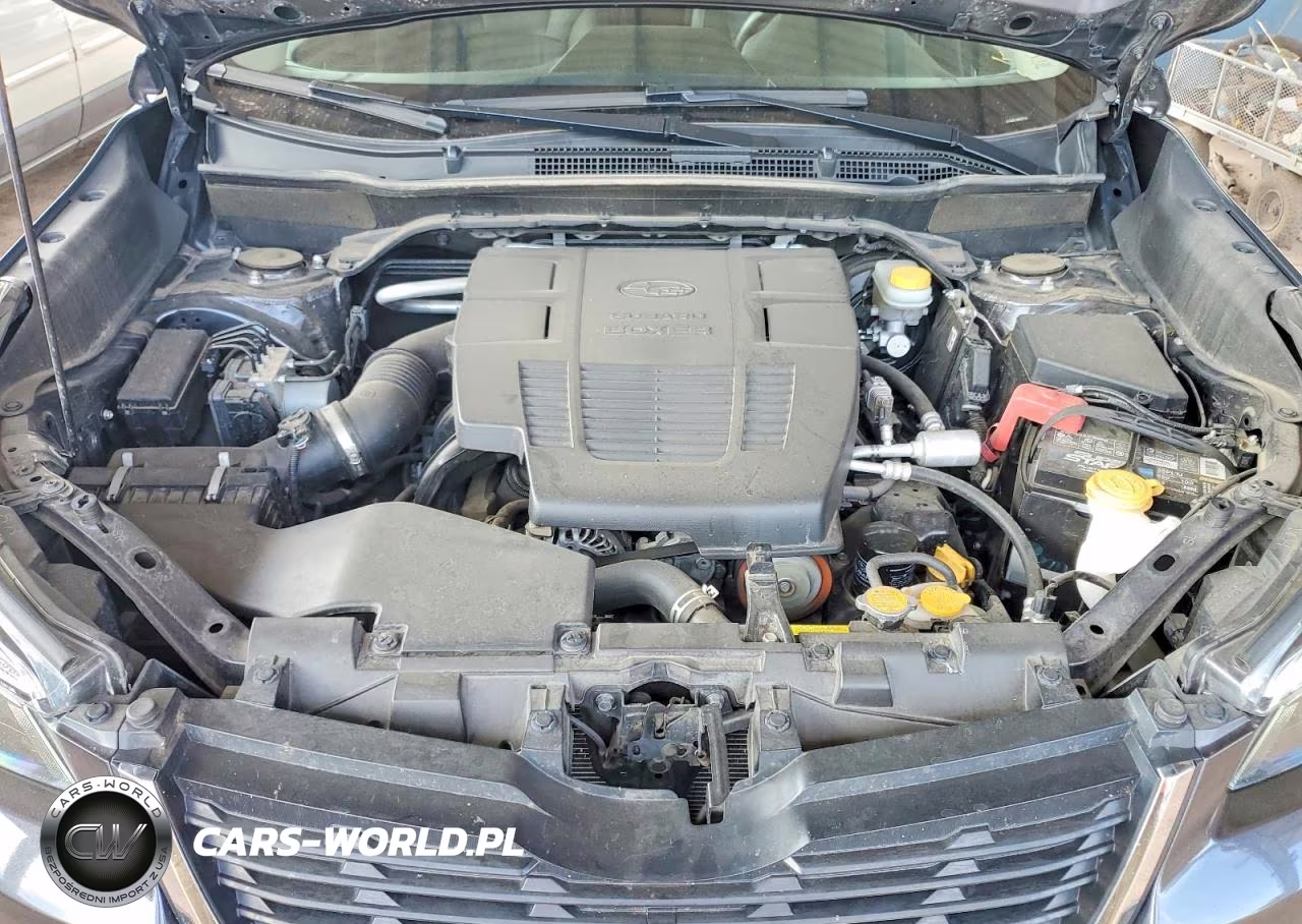 2019 Subaru Forester Limited VIN:JF2SKASC3KH475776 - 12