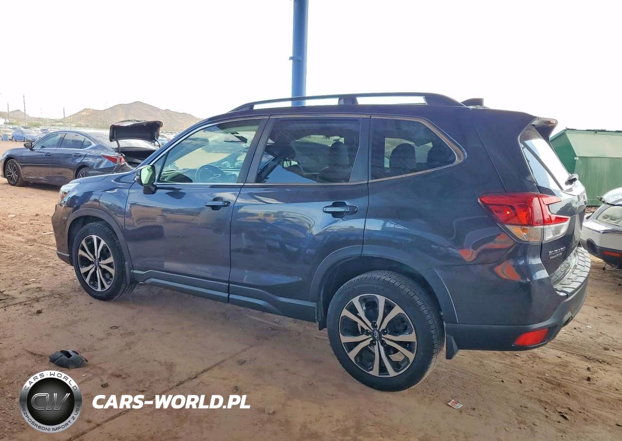 2019 Subaru Forester Limited VIN:JF2SKASC3KH475776 - 2