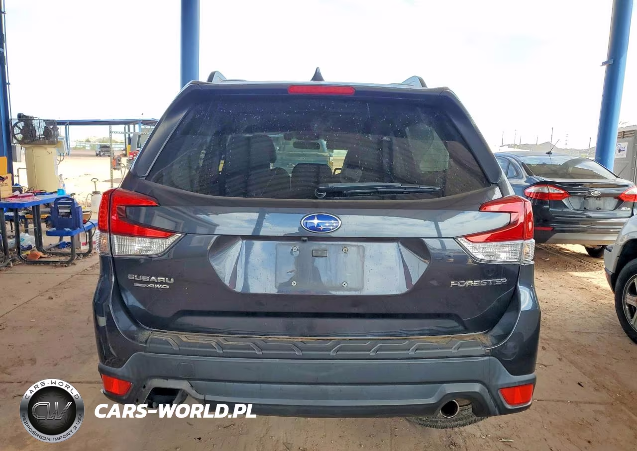 2019 Subaru Forester Limited VIN:JF2SKASC3KH475776 - 6