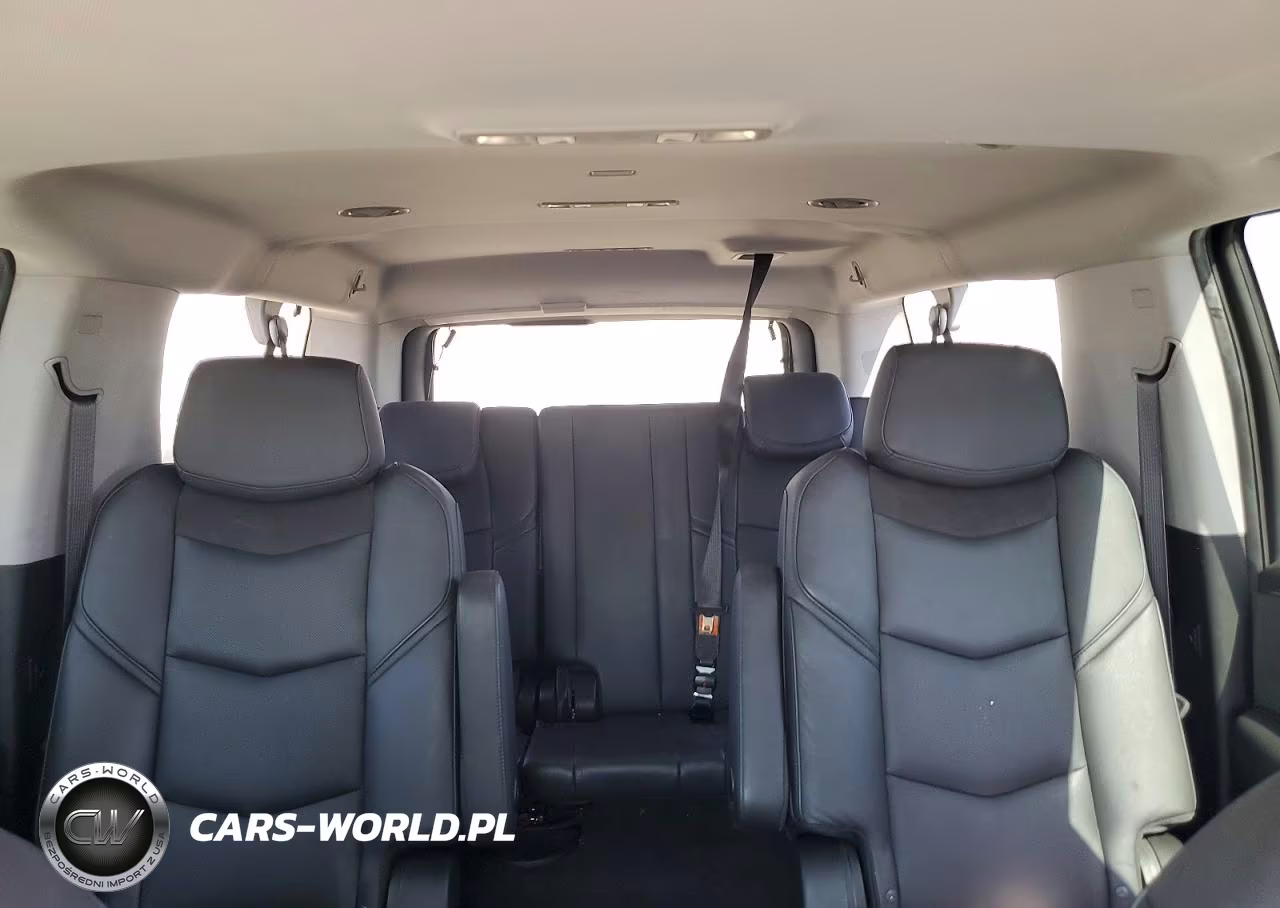 2020 Cadillac Escalade Esv Luxury VIN:1GYS4HKJXLR230981 - 10