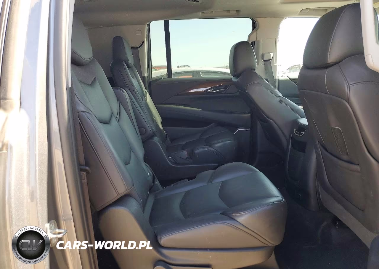 2020 Cadillac Escalade Esv Luxury VIN:1GYS4HKJXLR230981 - 11