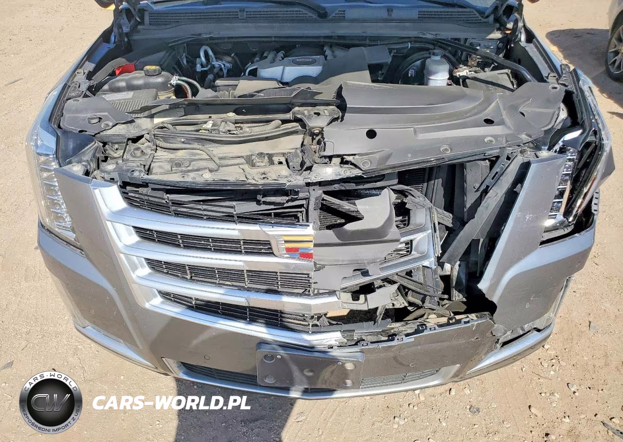 2020 Cadillac Escalade Esv Luxury VIN:1GYS4HKJXLR230981 - 12