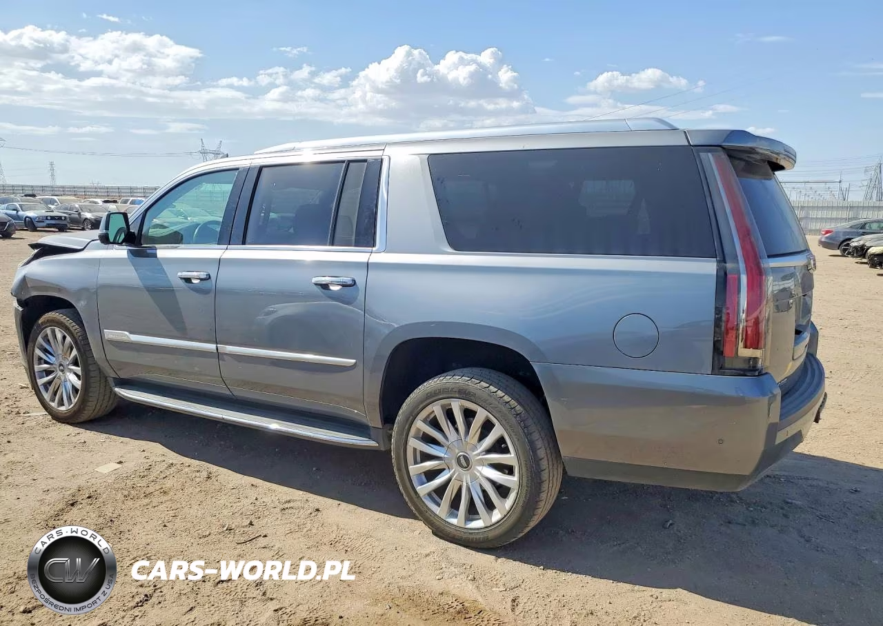 2020 Cadillac Escalade Esv Luxury VIN:1GYS4HKJXLR230981 - 2
