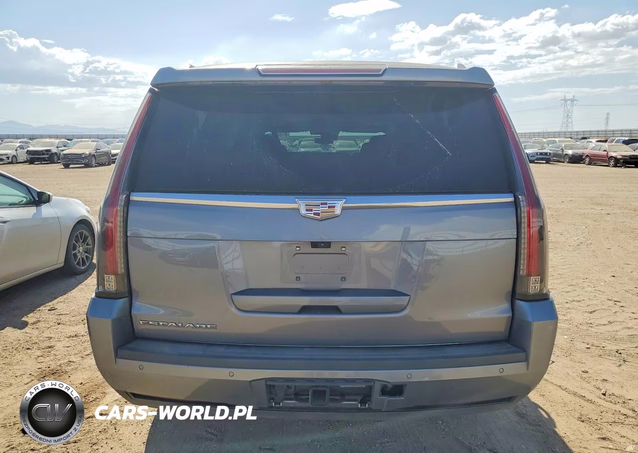 2020 Cadillac Escalade Esv Luxury VIN:1GYS4HKJXLR230981 - 6