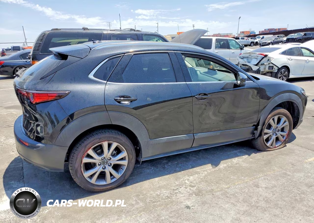 2020 Mazda Cx-30 Premium VIN:3MVDMAEM7LM134561 - 3