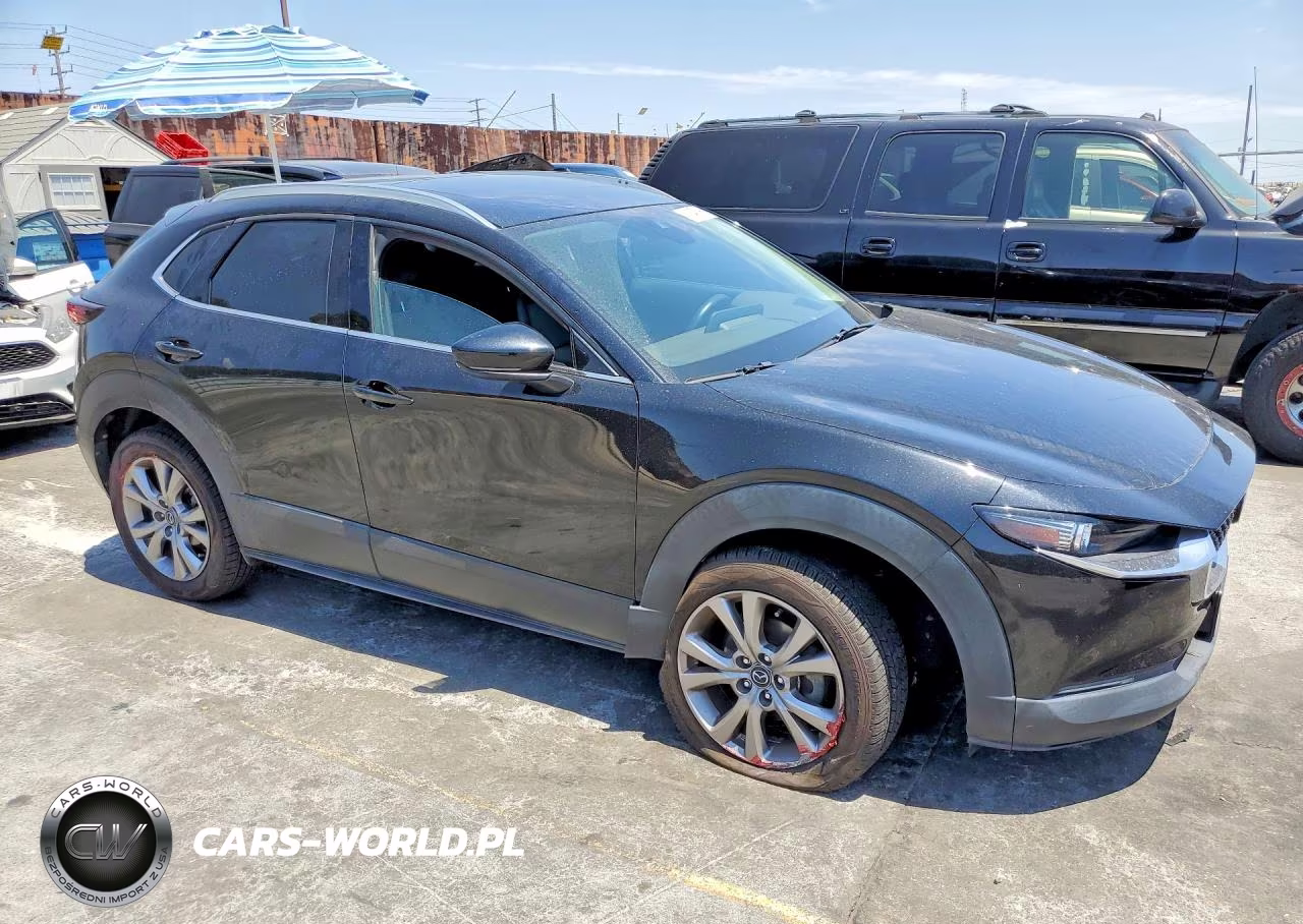 2020 Mazda Cx-30 Premium VIN:3MVDMAEM7LM134561 - 4