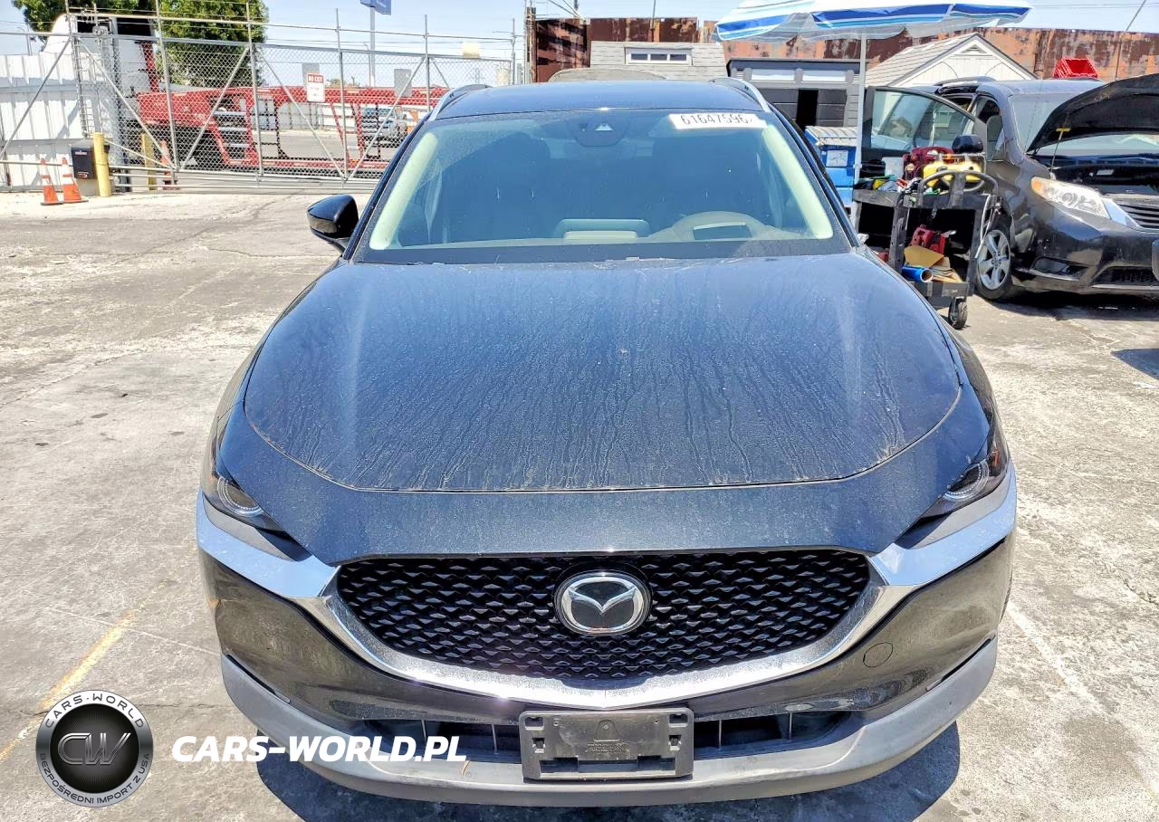 2020 Mazda Cx-30 Premium VIN:3MVDMAEM7LM134561 - 5