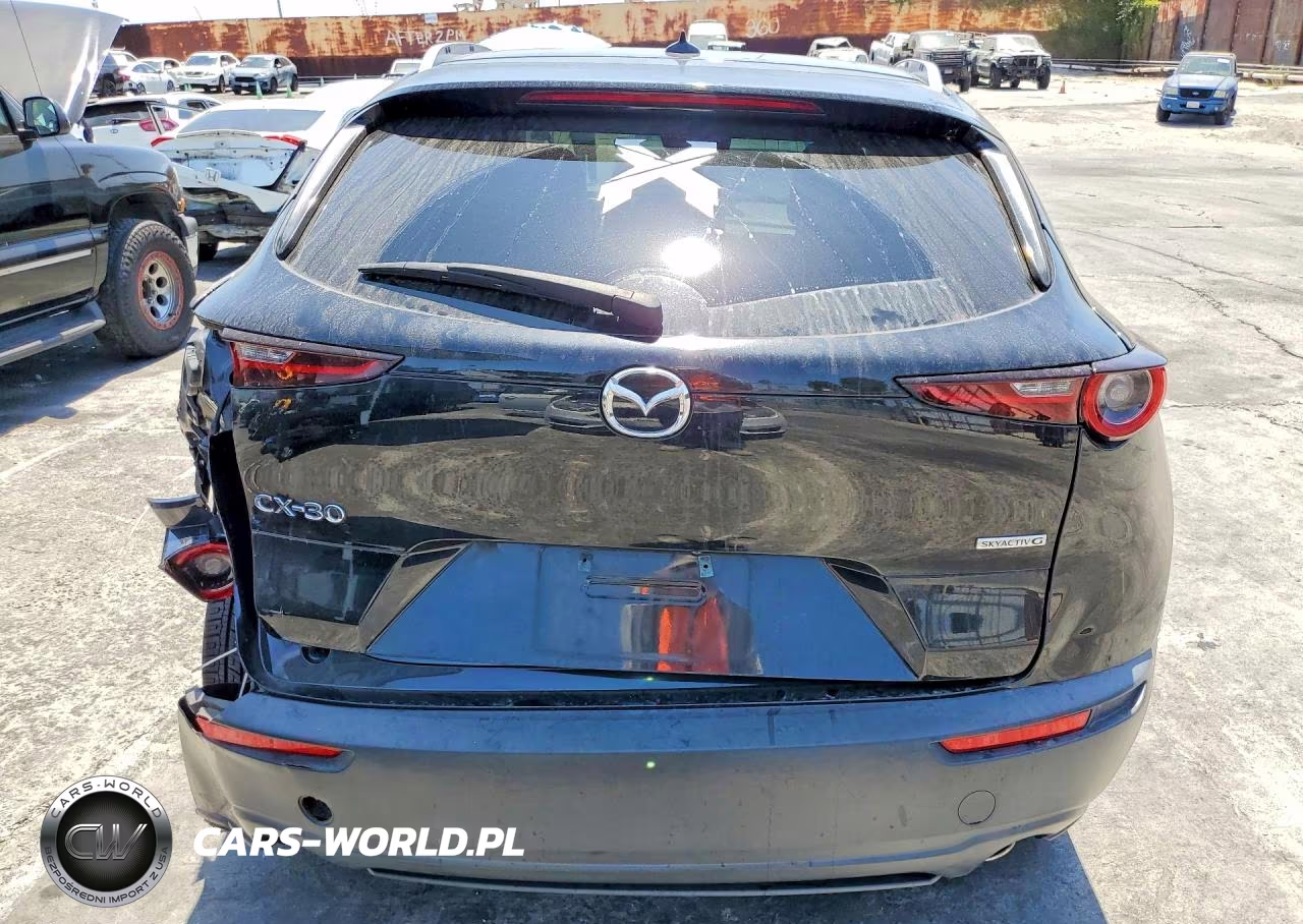 2020 Mazda Cx-30 Premium VIN:3MVDMAEM7LM134561 - 6