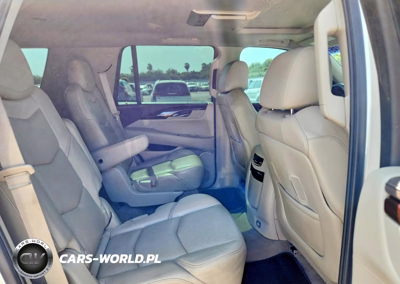2015 Cadillac Escalade Luxury VIN:1GYS3BKJ1FR304261 - 10