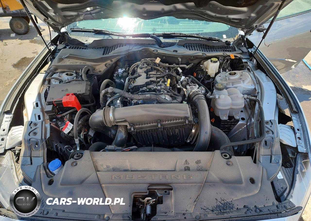 2026 Ford Mustang VIN:1FA6P8TH5T5118838 - 11