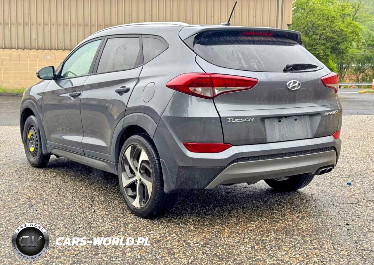 2016 Hyundai Tucson Sport VIN:KM8J3CA2XGU194869 - 3