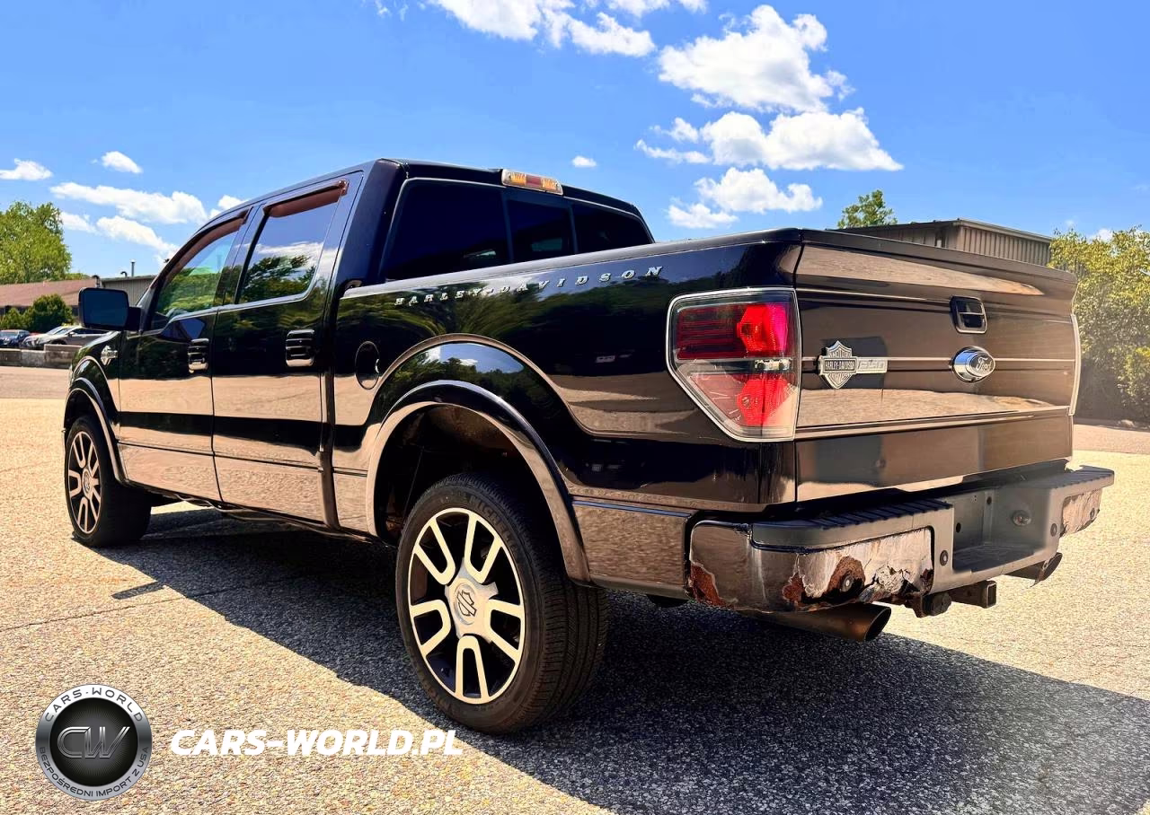 2010 Ford F150 Supercrew VIN:1FTFW1EV3AFB18173 - 3