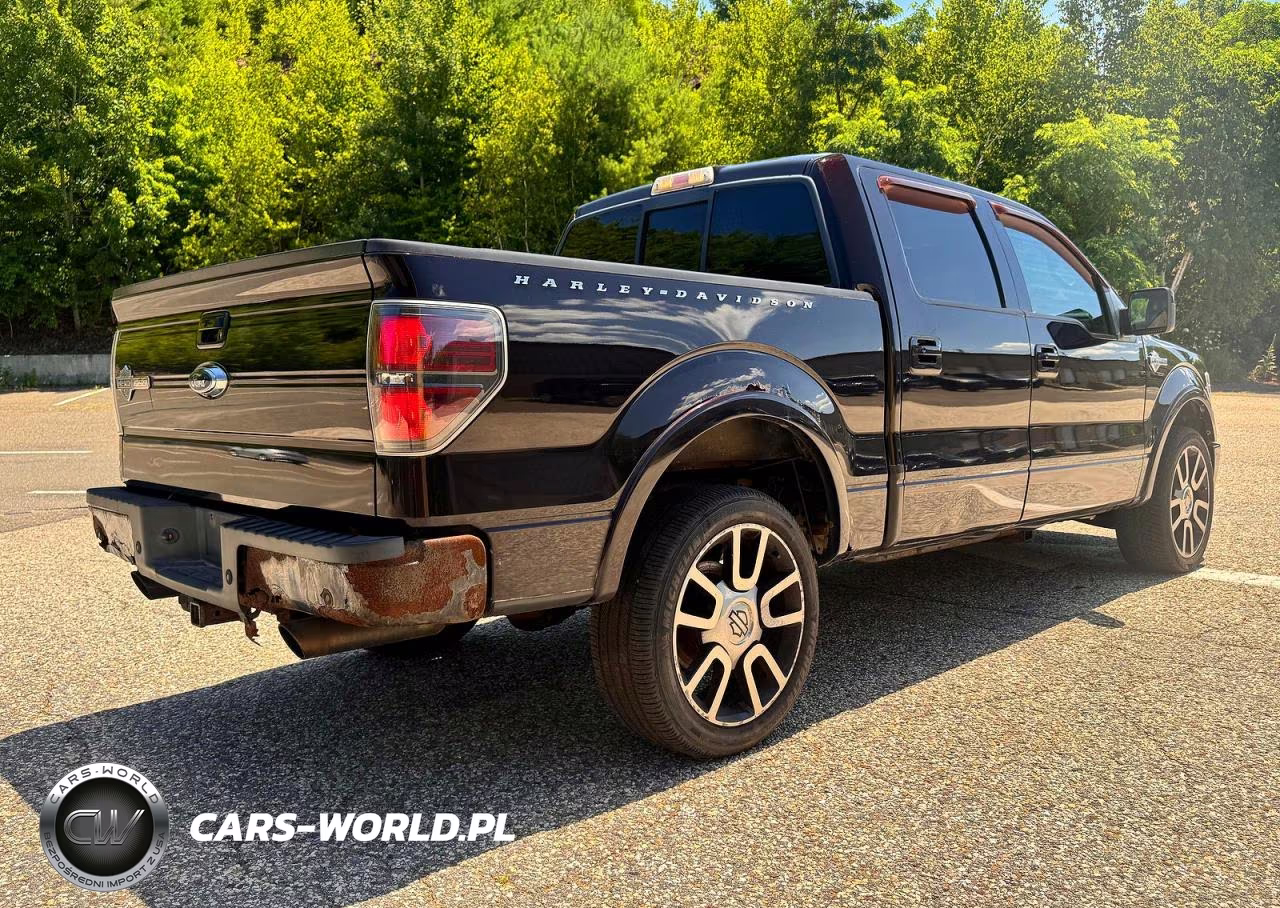 2010 Ford F150 Supercrew VIN:1FTFW1EV3AFB18173 - 4