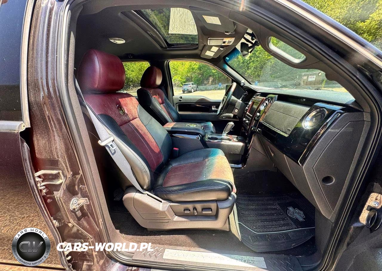 2010 Ford F150 Supercrew VIN:1FTFW1EV3AFB18173 - 5