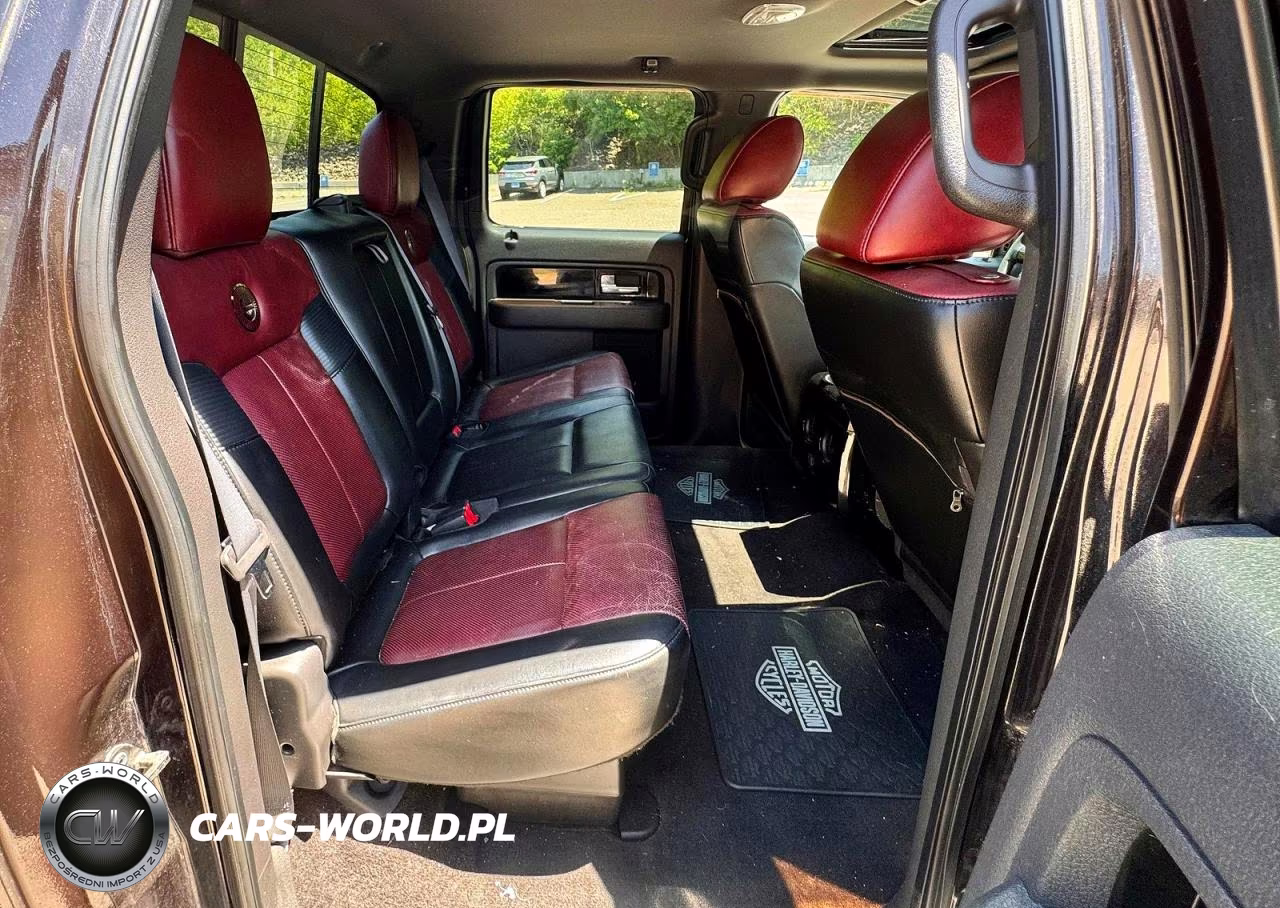 2010 Ford F150 Supercrew VIN:1FTFW1EV3AFB18173 - 6
