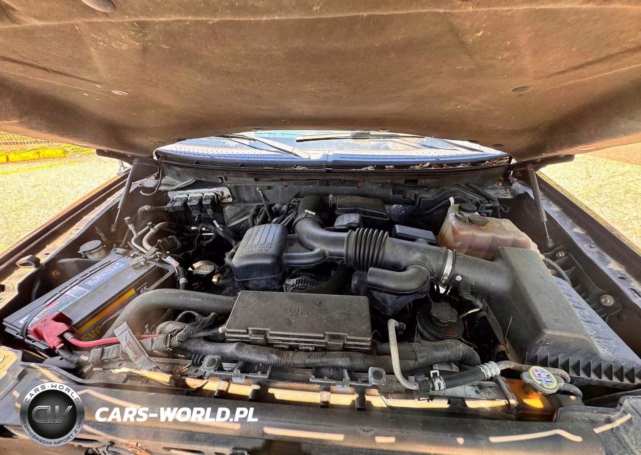 2010 Ford F150 Supercrew VIN:1FTFW1EV3AFB18173 - 7