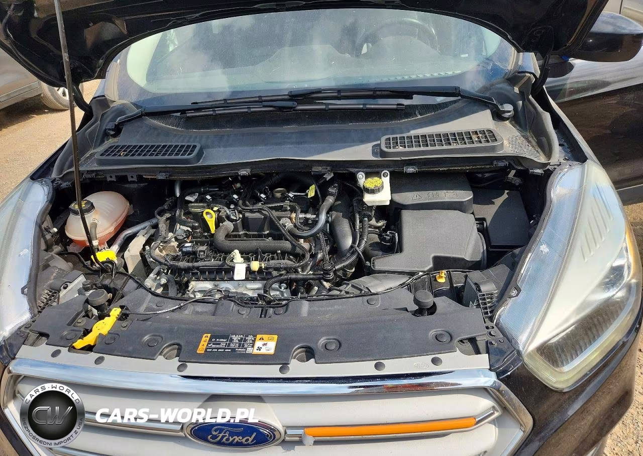 2019 Ford Escape Sel VIN:1FMCU9HD2KUB32469 - 12