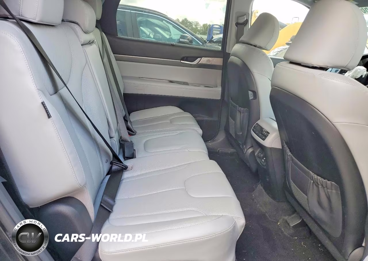 2024 Hyundai Palisade Sel Premium VIN:KM8R4DGE8RU677853 - 11