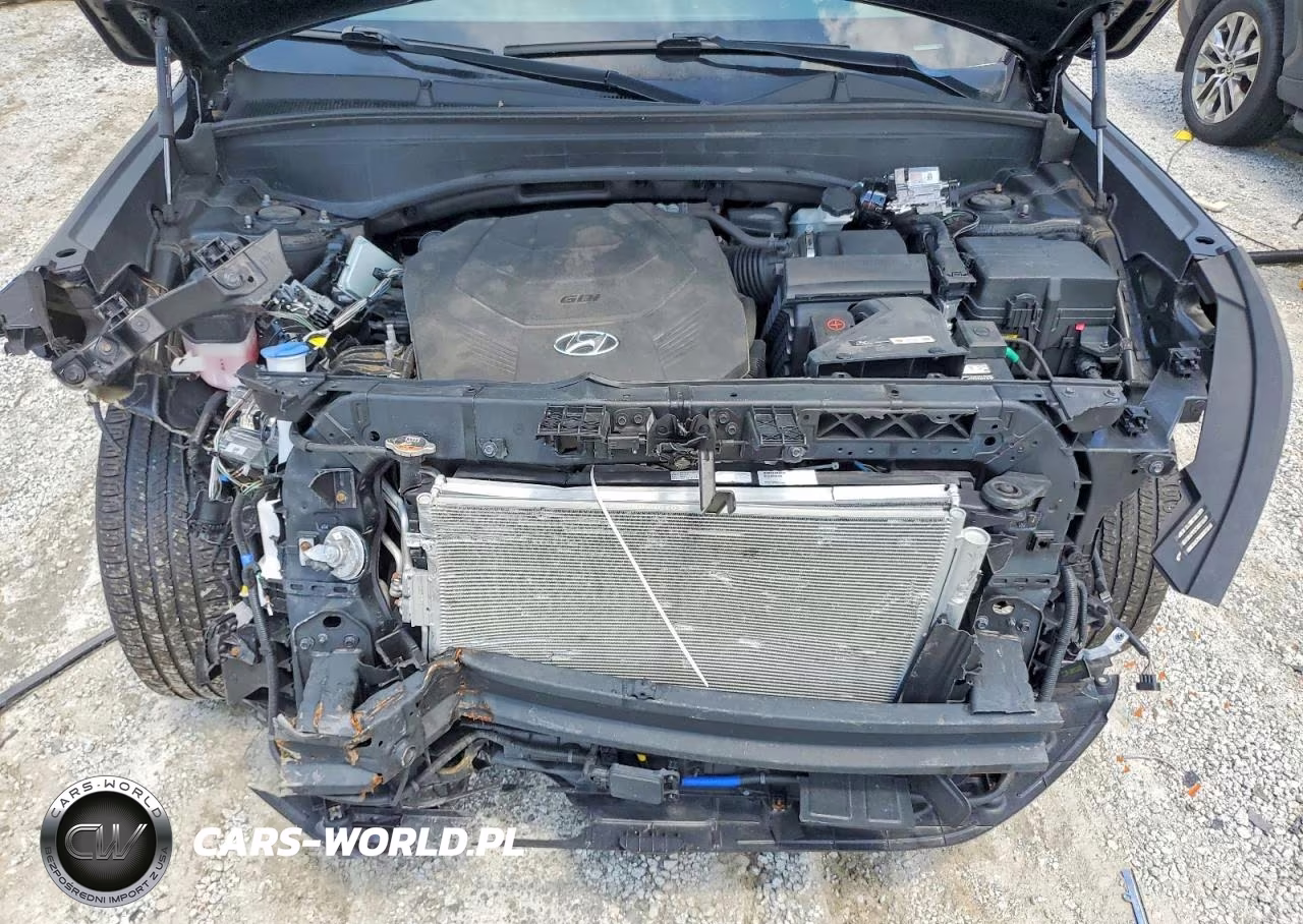 2024 Hyundai Palisade Sel Premium VIN:KM8R4DGE8RU677853 - 12