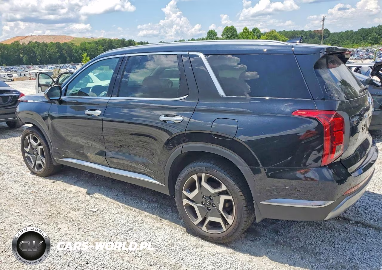 2024 Hyundai Palisade Sel Premium VIN:KM8R4DGE8RU677853 - 2